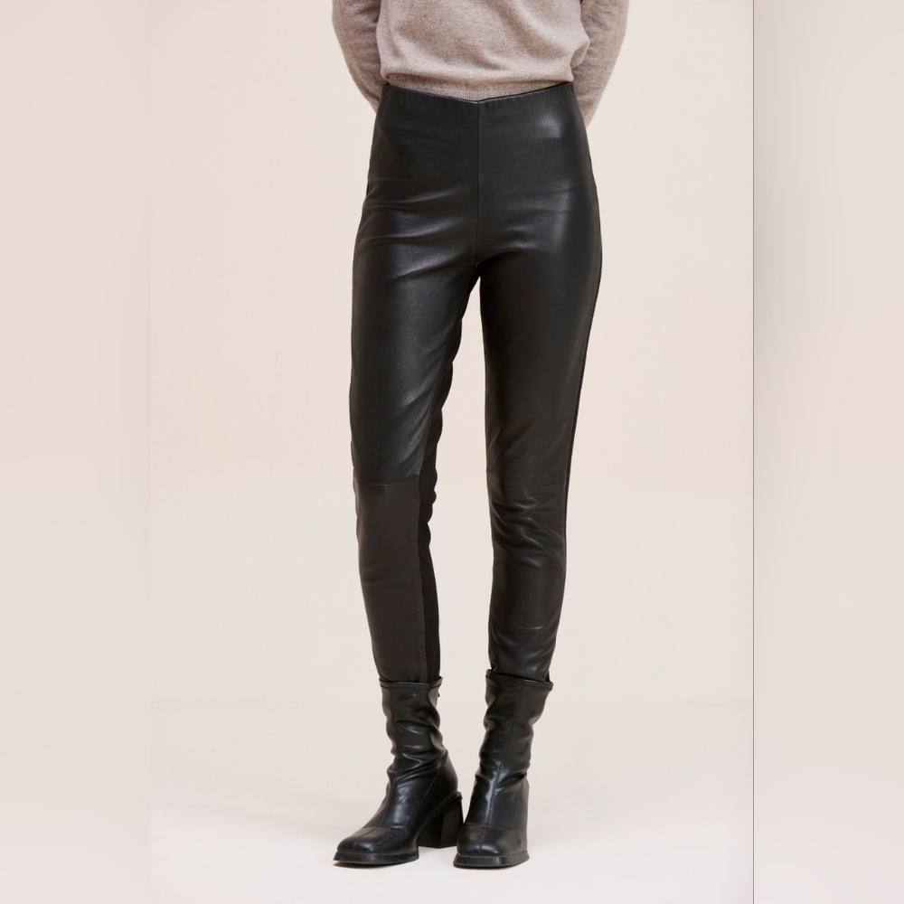 Danier Brown Leather Pants
